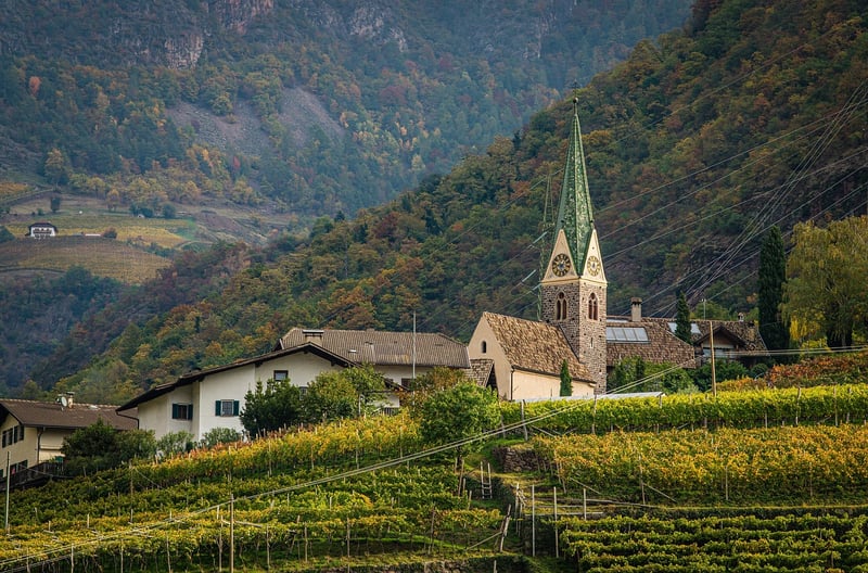 Romantic Vineyards